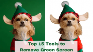 green screen remover