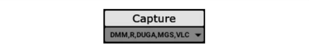 JavPlayerキャプチャー