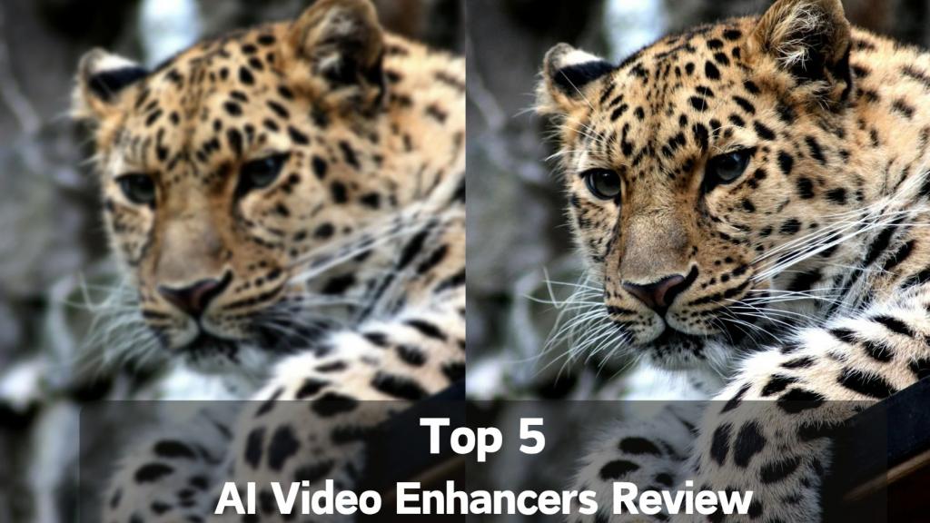 video enhancer_topic