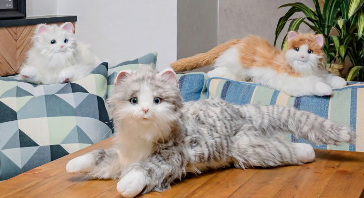 しっぽふりふり あまえんぼうねこちゃん/デジレクト